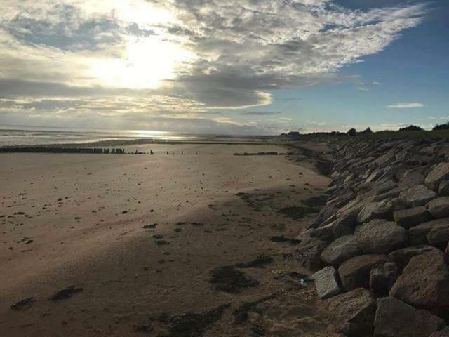 La Cantellerie Courseulles-sur-Mer Eksteriør billede